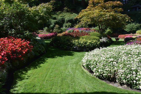 Jardinage sans creuser : techniques de lasagne gardening