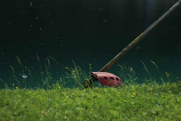 Quelle débroussailleuse choisir pour éliminer les ronces