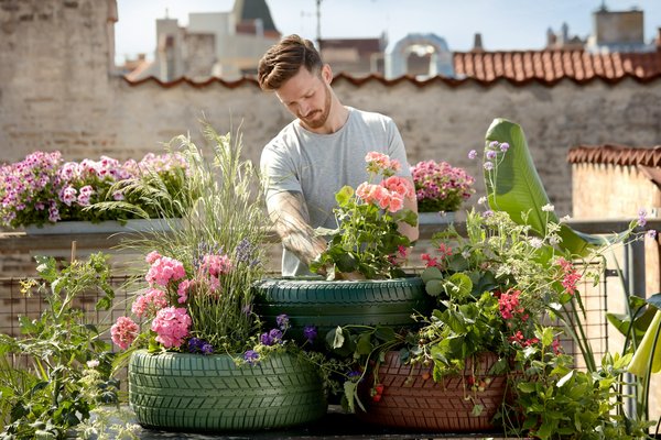 Quelles plantes peuvent être utilisées pour créer un écran de confidentialité naturel dans un jardin urbain ?