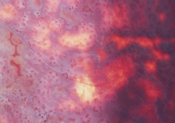 Quelle est la meilleure façon d'appliquer un revêtement de sol en résine époxy pour une durabilité maximale ?